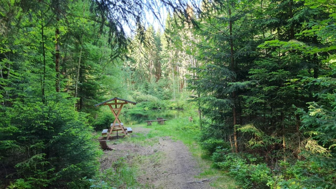 Pension Wernesgruen Экстерьер фото