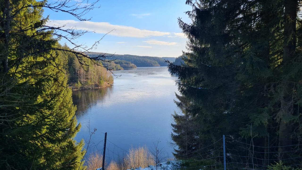 Pension Wernesgruen Экстерьер фото